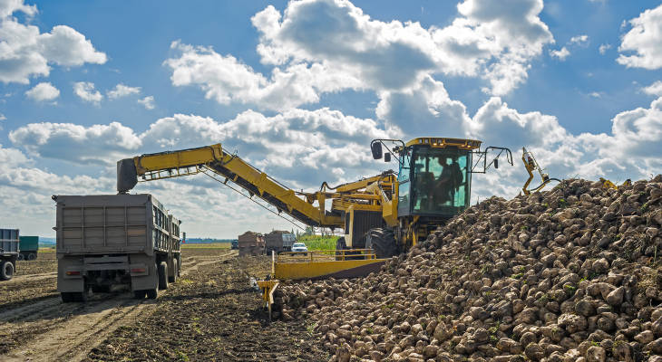 Good yields are likely to boost EU sugar production by a million tonnes this year while lack of market transparency continues to get in the way of planning and planting.