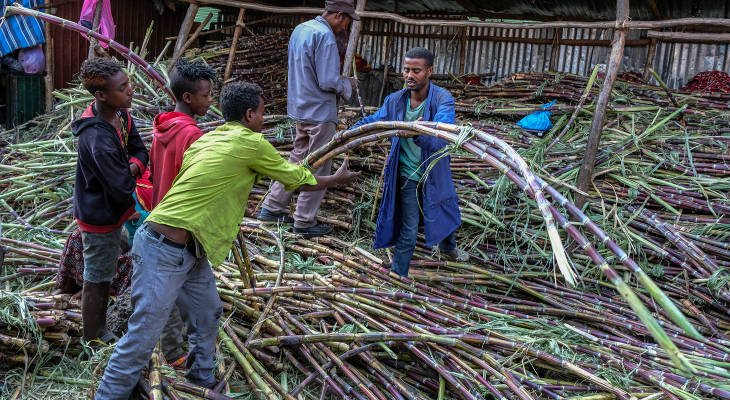 With cheap and free information available, even in Somalia, making a profit in sugar in East Africa is getting ever more difficult.