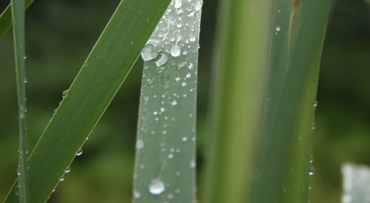 Freak rainstorms in East Africa are playing hazard with the sugar market, pushing prices higher in most markets.