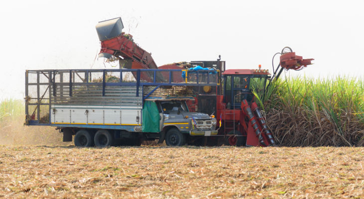 The southern hemisphere crush has begun and the prospects aren't very good.