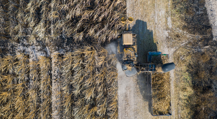 The Thai crush is winding down while the Philippines crush is off to a good start, and other countries in the region scramble to shore up their markets.