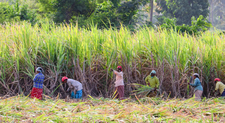 While all seems rosy for the Indian sugar industry at the moment, this is not the time to rest.