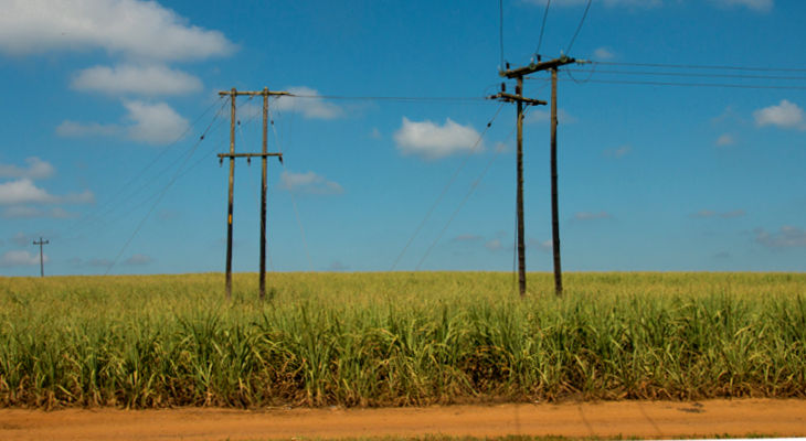 Unrest in South Africa and Eswatini has the region's sugar industry in turmoil while Kenya is on track for a record crop.