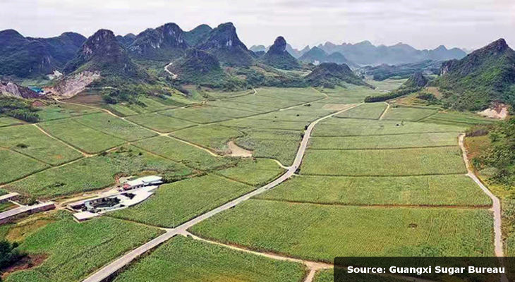 The Chinese beet processing is winding down while cane continues to be crushed. Imports are seen down significantly this season, but challenges are still on the horizon. Source: Guangxi Sugar Bureau