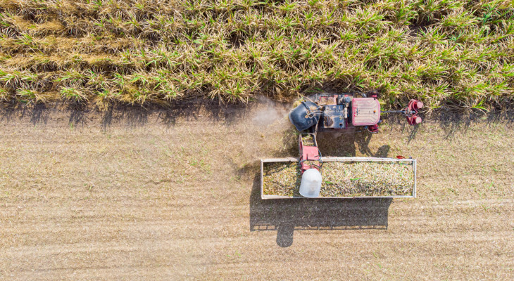 The Thai crop is picking up while Indonesia's import quota shifted the ICE #11.