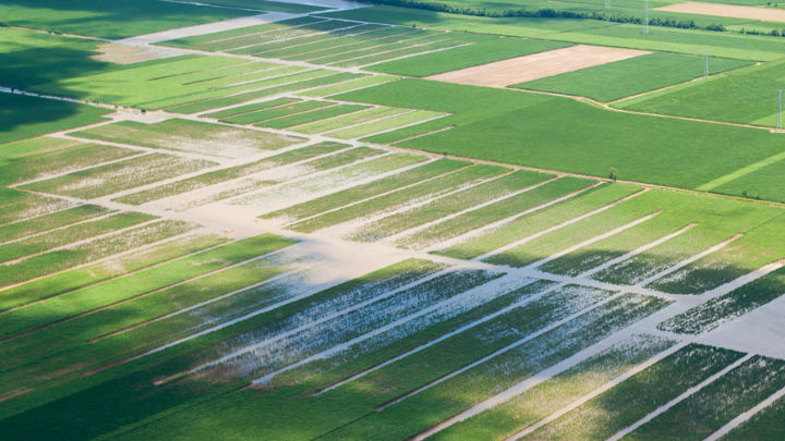 The end of the Thai crush is shaping up well while Australia's cane regions have been devastated by floods.