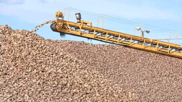 The US market is oversold with no sugar to be found despite increased imports this season.