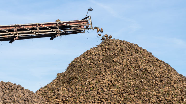 EU/Ukraine trade liberalisation causes discontent in East European sugar producing countries.