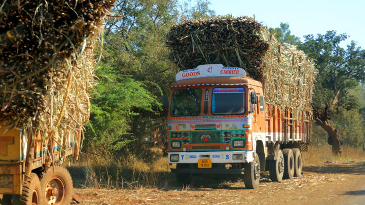 Despite the looming threat of El Nino, cultivation of the cane crop is expected to progress smoothly this year. However, monsoon rains are not the only variable the country’s sugar industry should watch for.