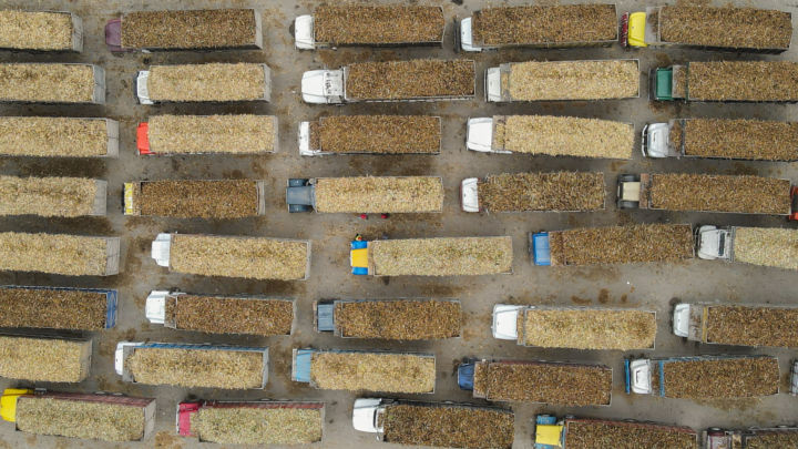 Despite predictions of lower production, Mexico is expected to ship only slightly less sugar to the USA for 2023/24 season.