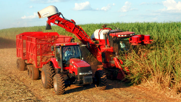 Although El Niño looms threateningly on the horizon, weather for harvesting and cane growth remains positive in Centre-South Brazil.