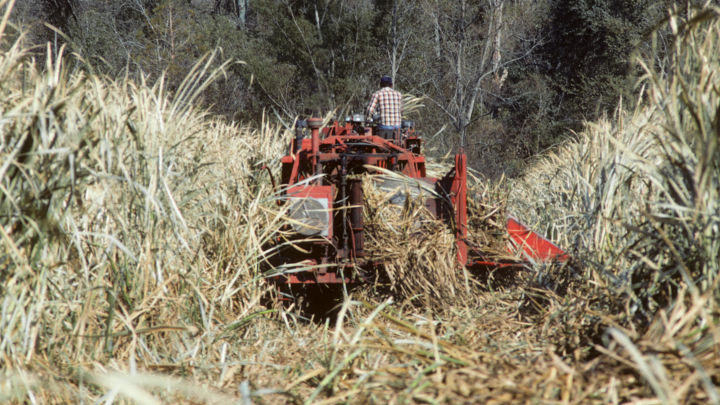 Farm Bill uncertainty overshadows an otherwise  fairly balanced supply and demand outlook for the US sugar industry.