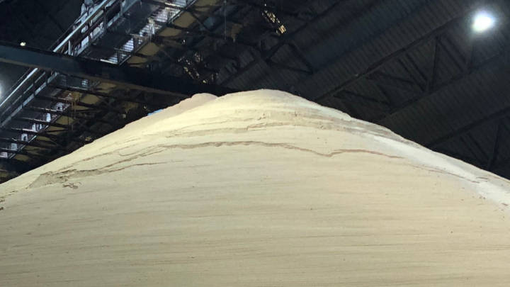 Blockages at Brazil’s ports are helping create a sugar tradeflow deficit to go with the world sugar balance deficit, which Datagro sees lasting until at least 24/25 (Oct-Sep).