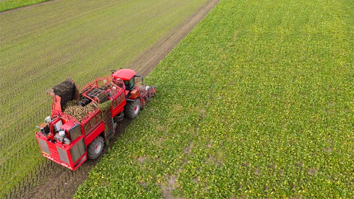 Will average EU sugar beet yields reach above the five-year average?