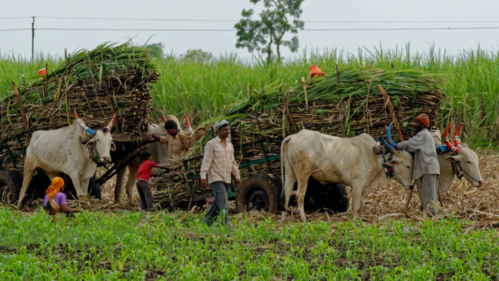 Amidst intensifying demands for substantial hikes in raw material prices, the sugar industry in the Indian state of Maharashtra faces multiple challenges including lower output and thinner operating margins.