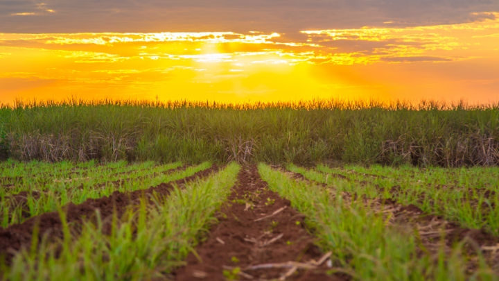 Dry December weather in Centre-South Brazil helps keep exports flowing but also signals a risk to next season's harvest.