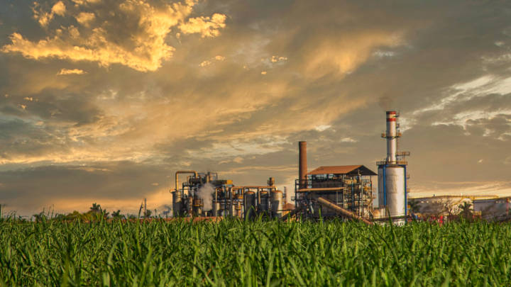 La Niña looms on the horizon, threatening the sugarcane crop for 2024/25