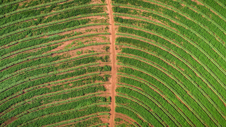 Rains return to Centre-South Brazil, but will it be enough to alleviate worsening sugarcane conditions?