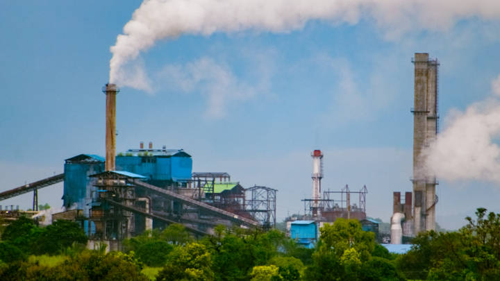 Despite a sharp increase in demand, the sugar supply situation is no longer worrisome. As a result, New Delhi has started to relax restrictions on feedstock use.