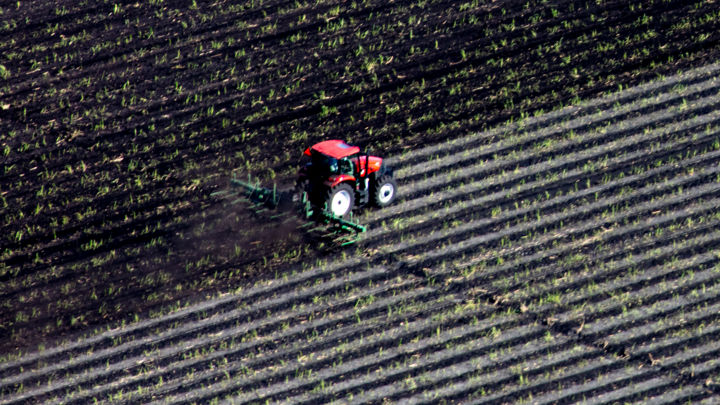 Compared to generally depressed crop prices, sugar has been a good bet for US growers, but continued Farm Bill uncertainty makes the long-term outlook less clear.