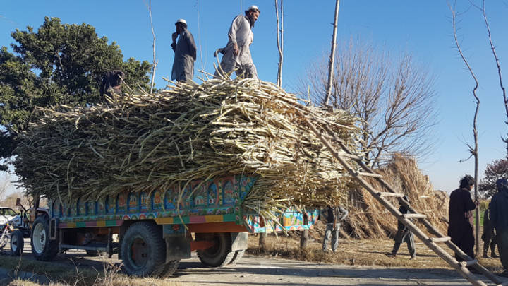 The increased sales tax obligation and uncertainty over pricing regulation pose significant challenges for Pakistan’s sugar industry.