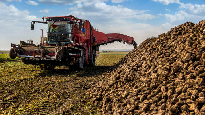 The EU market remains on the defensive amid price pressure and a free trade agreement with Mercosur