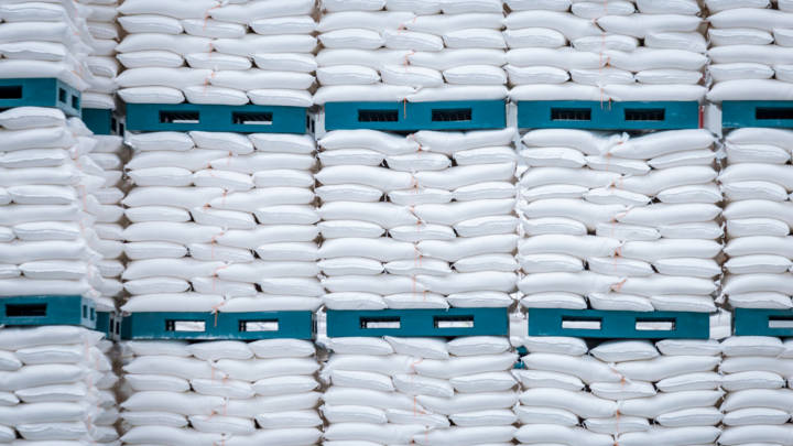 Despite steady domestic production, China’s surge in raw sugar imports this year reflects favourable global prices and the ongoing ban on Thai sugar syrup and premix powder. However, higher imports have softened domestic prices, likely causing the month-on-month decline in imports observed in September and possibly continuing in October.