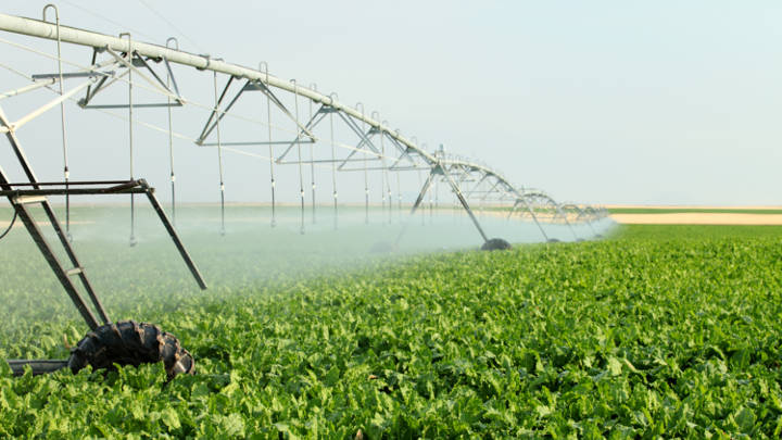 Sugar imports are predicted to decline, despite production forecasts being lowered due to smaller planting areas and extreme weather.