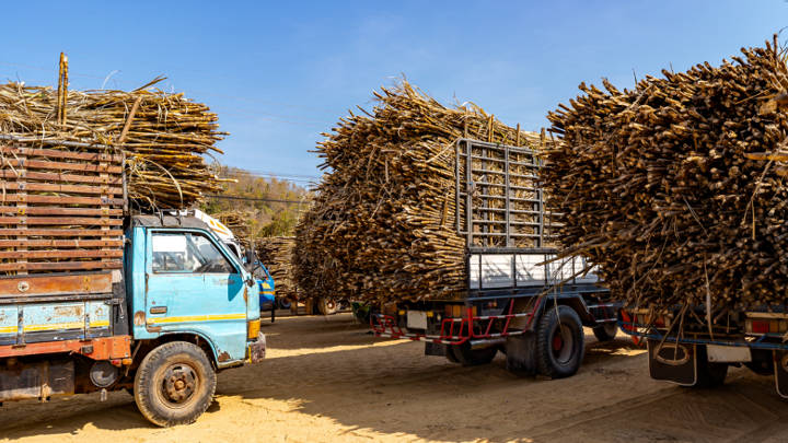 Sugar output in major ASEAN producers — particularly Thailand, Indonesia and the Philippines — is likely to fall in 2026/27, tightening regional supply. Combined with India’s export ban and Brazil’s increasing allocation of sugarcane toward ethanol production, global sugar prices are likely to harden.